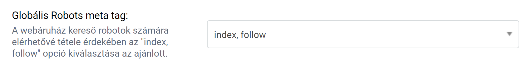 seo_globalrobotsmeta.png