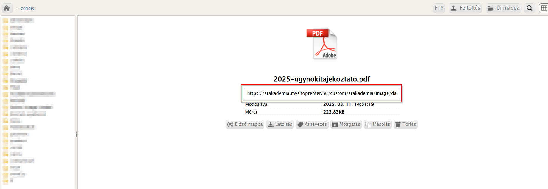 2025-03-11 14_51_45-Filemanager.png