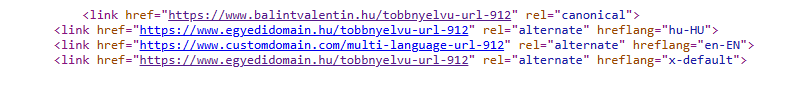 tobbnyelvu_akademia_hreflang.png
