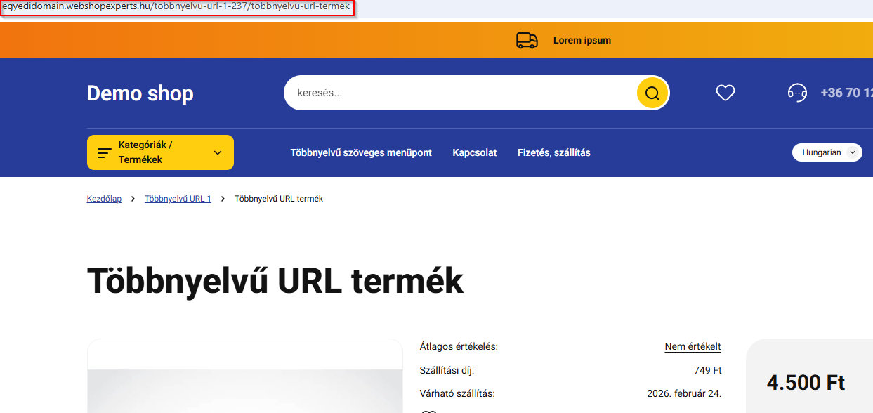 nyelvvaltas-elott.png